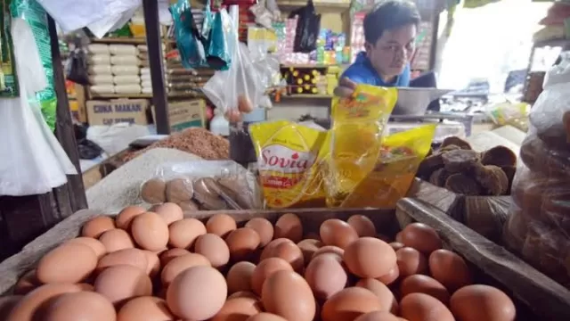 Dampak Pakan Naik, Harga Telur Ayam Di Sumenep Meroket