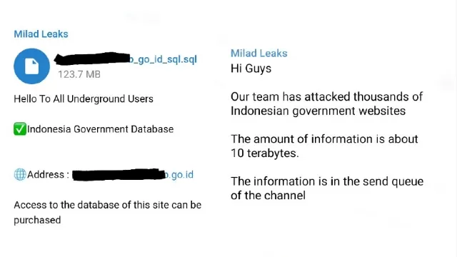 Curi Data 10 Tb, Kelompok Hacker Milad Leaks Klaim Bobol Situs Pemerintah