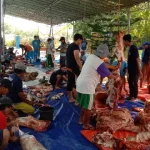 Warga Di Desa Langkap Gotong Royong Membungkus Paket Daging Kurban.