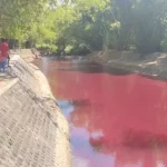 Salah Satu Aliran Sungai Berwarna Merah Darah.