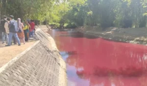 Air Sungai Berwarna Merah Darah, Dlh Pamekasan Lakukan Uji Laboratorium