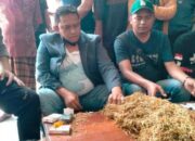 Ketua P4Tm Himbau Petani Tak Jual Tembakau Dalam Kondisi Masih Muda