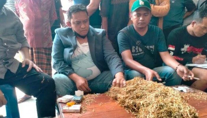 Ketua P4Tm Himbau Petani Tak Jual Tembakau Dalam Kondisi Masih Muda