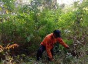 Musim Kemarau Panjang, Tiga Hutan Di Sumenep Rawan Kebakaran