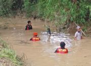 Bocah Di Sampang Tenggelam Terseret Arus Sungai, Pencarian Selama Dua Hari Belum Ditemukan