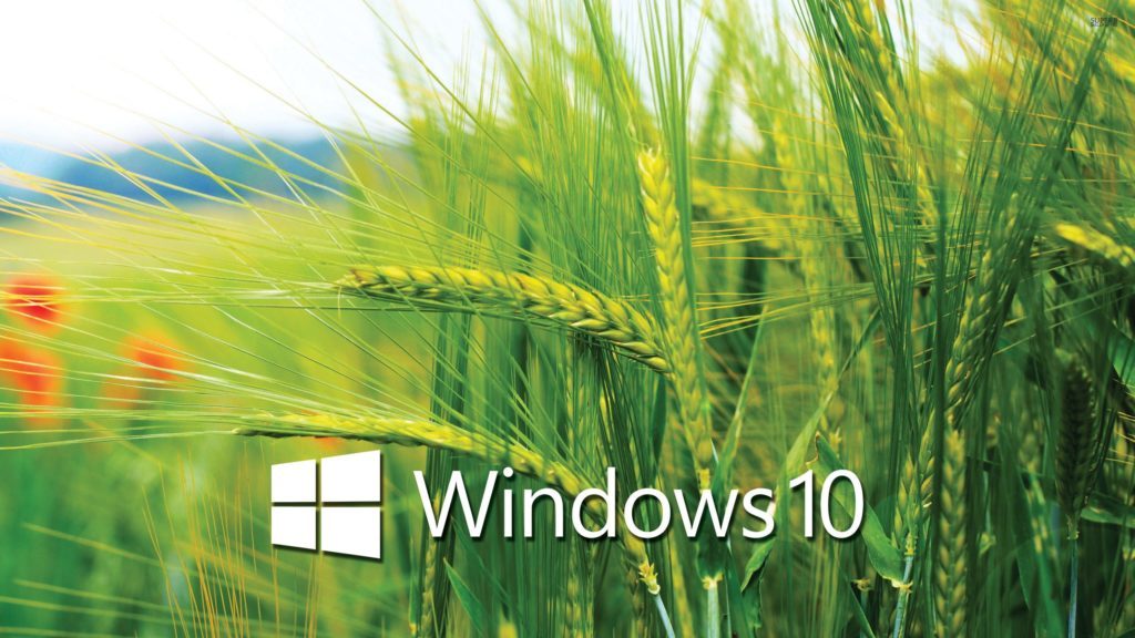 Mengenal Berbagai Versi Sistem Operasi Windows 10