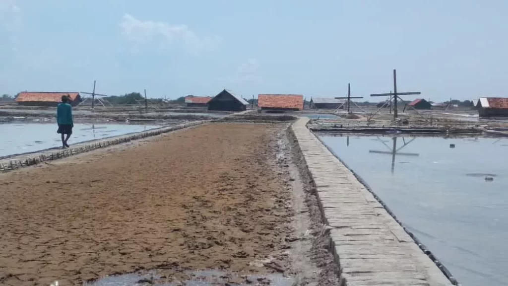 Harga Garam Anjlok, Ini Kata Petani Di Pamekasan