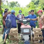 Proses Pengoperasian Handtraktor Di Sawah.