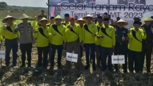 Petani Tembakau Sampang Dukung Bupati – Wabup Lanjutkan Kepemimpinan Periode Kedua