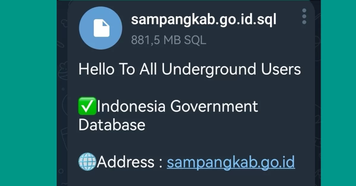 Tangkapan layar data yang dibagikan peretas melalui Channel Telegram.