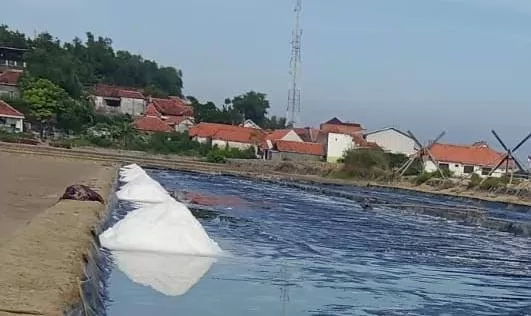 Salah Satu Tambak Garam Di Sampang.