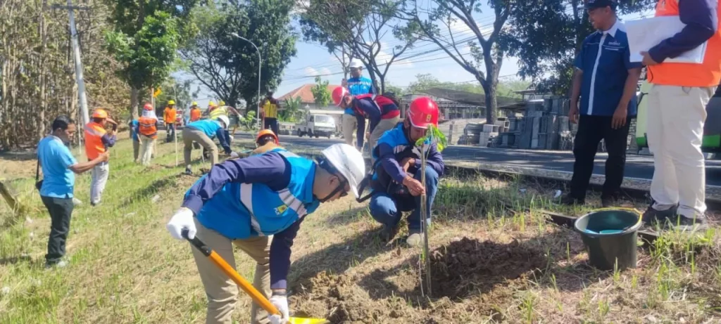 Pln Tanam Ratusan Bibit Pohon Di Sepanjang Jalan Raya Blega – Sampang