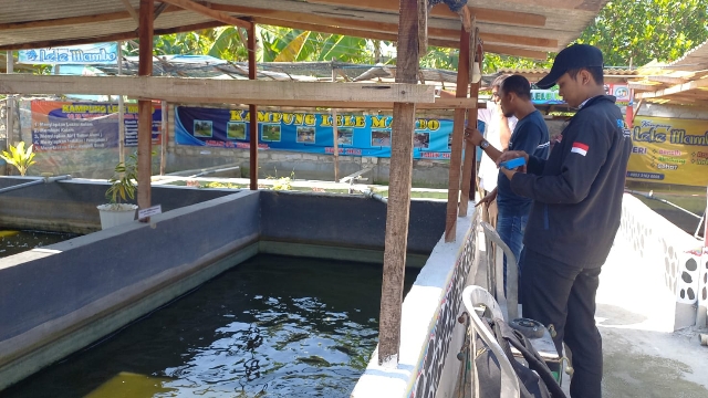 Salah Satu Kolam Pembudidaya Lele Di Sampang.