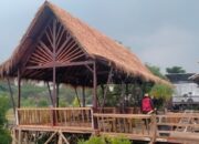 Kisah Sukses Bisnis Gazebo Pemuda Sampang, Sempat Rugi Puluhan Juta Kini Dilirik Owner Wisata Di Madura