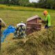 Salah Satu Kegiatan Petani Di Sampang.