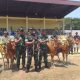 Komandan Korem 084/Bhaskara Jaya Brigjen Tni Terry Tresna Purnama Saat Meninjau Lokasi Stadion Kerapan Sapi.