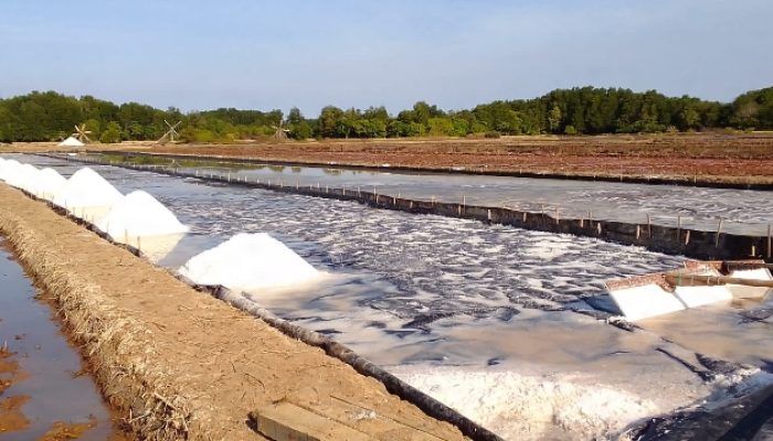 Petani Garam Di Sampang Tetap Produksi Walaupun Harga Merosot