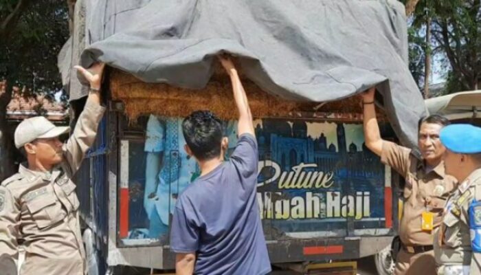 Jalani Sidang Tipiring Di Pn Pamekasan, Pembawa Tembakau Jawa Didenda 1 Juta