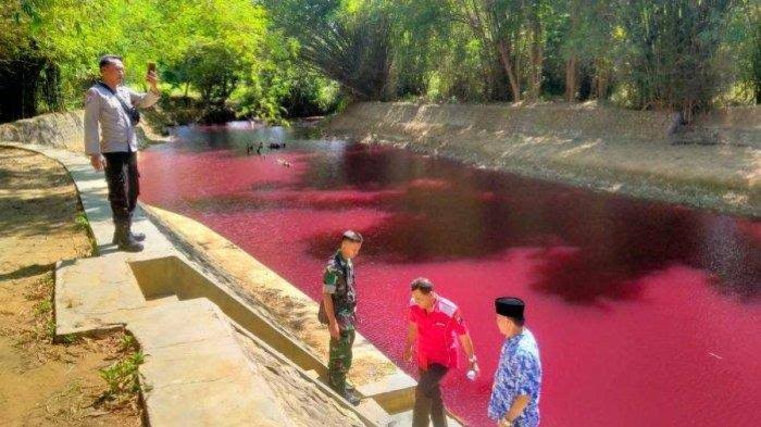 Sungai Dam Klampar, Pamekan, Madura Yang Berubah Warna Merah Pekat Akibat Bubuk Pewarna Kain Batik Yang Dibuang Ke Sungai.