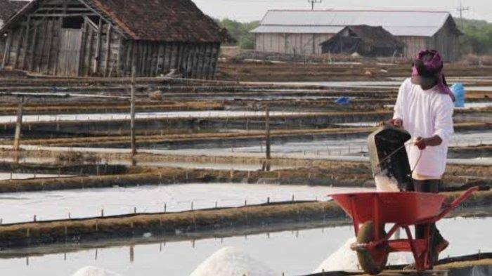 Salah Satu Petani Garam Di Kabupaten Sampang.