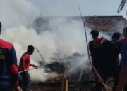 Kandang Warga Sampang Terbakar, Dua Ekor Sapi Mati Terpanggang