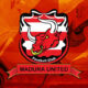 Logo Madura United Fc.