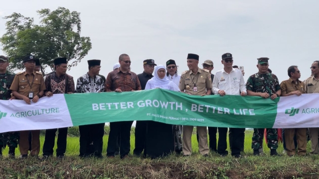 Gubernur Jatim Khofifah Indar Parawansa Saat Bersama Jajaran Pemkab Bangkalan Meninjau Lahan Pengembangan Kedelai.