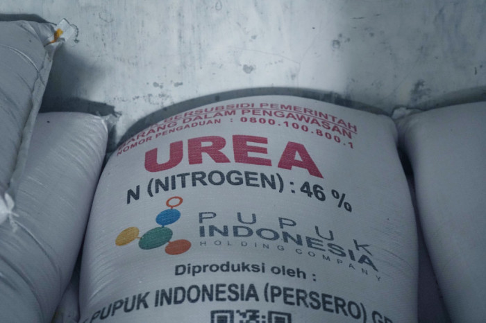 Ilustrasi Pupuk Urea