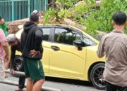 Angin Kencang, Mobil Honda Jazz Tertimpa Pohon Tumbang Di Pamekasan