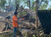 Kandang Ayam Lokasi Penemuan Mayat.