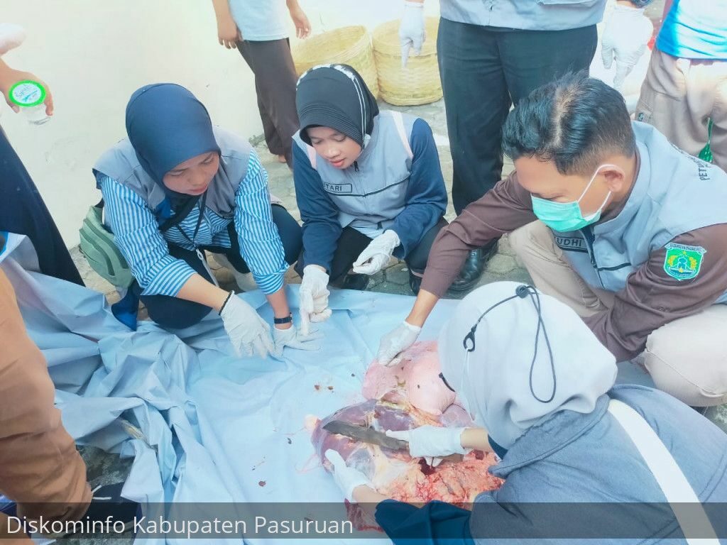 Petugas Disnakkeswan saat memeriksa daging kurban